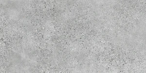 TERRAZZO Płytka gresowa grey MAT 119,8x59,8